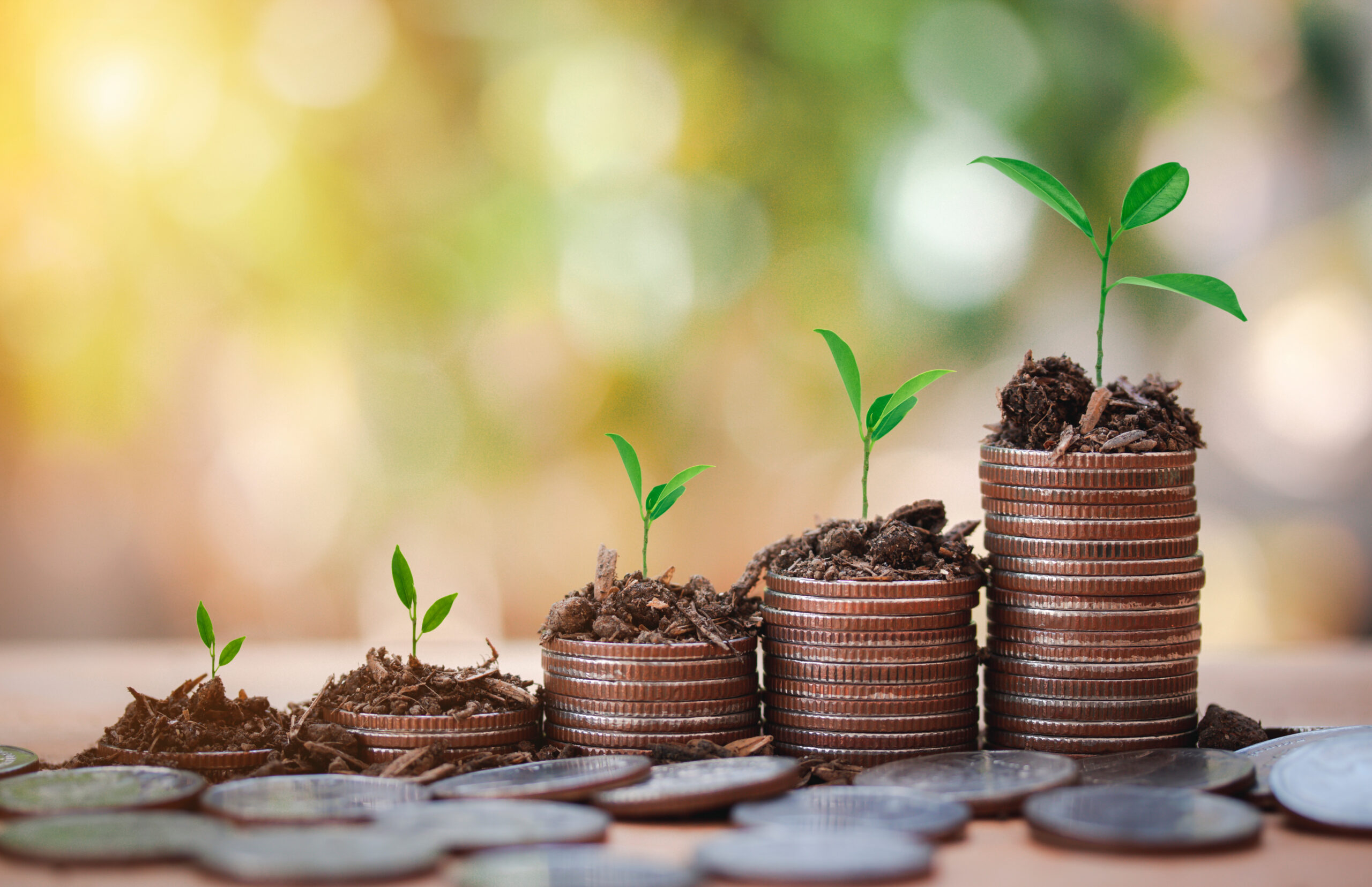 Financial Coach Programme